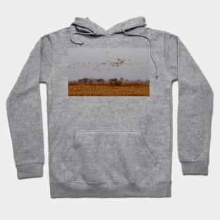 Sandhill Cranes Morning Departure Hoodie